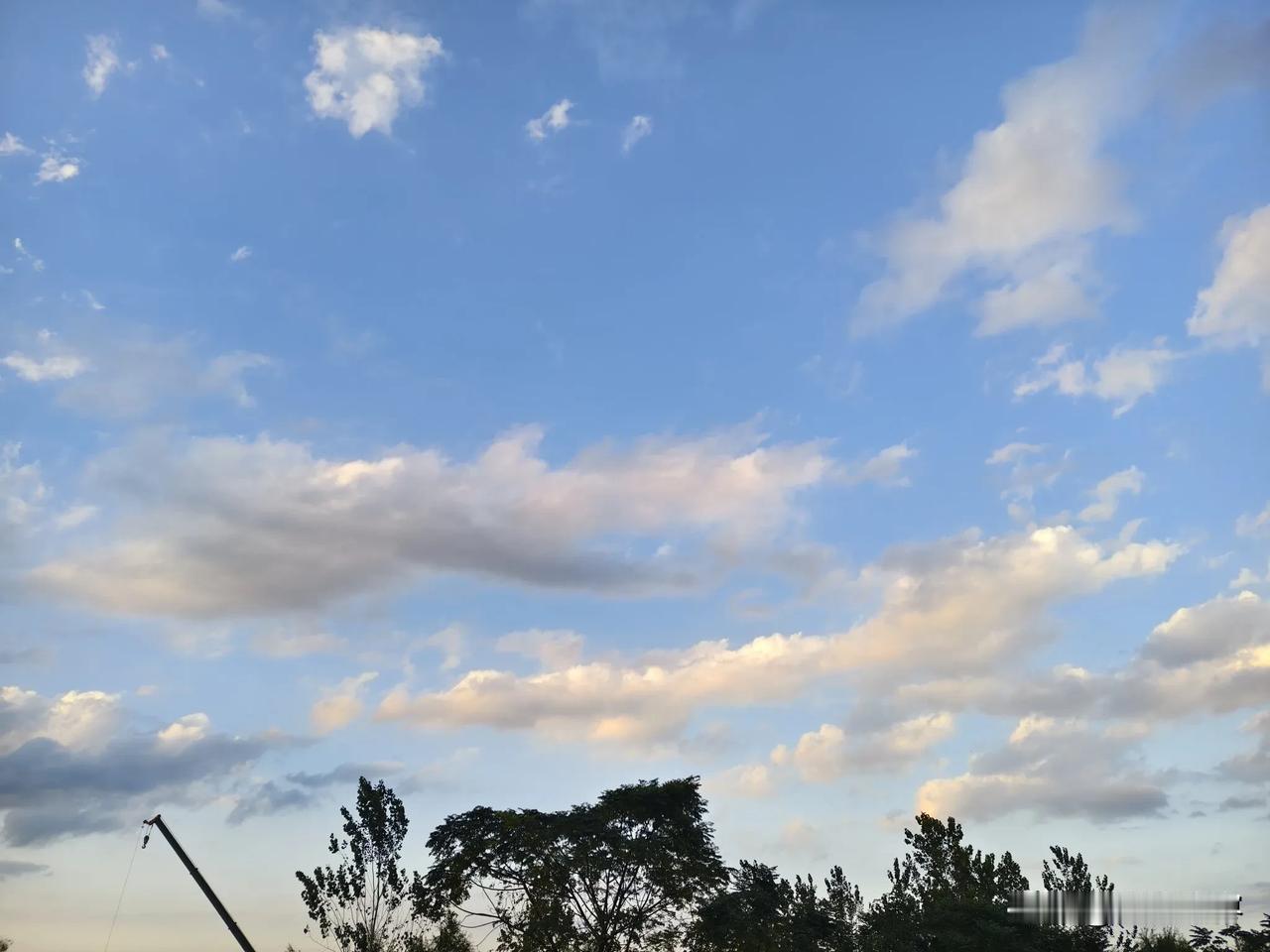 美丽国这大选有意思！马斯克支持特朗普，投入大笔资金拉选票。这又看到一个报道说比尔