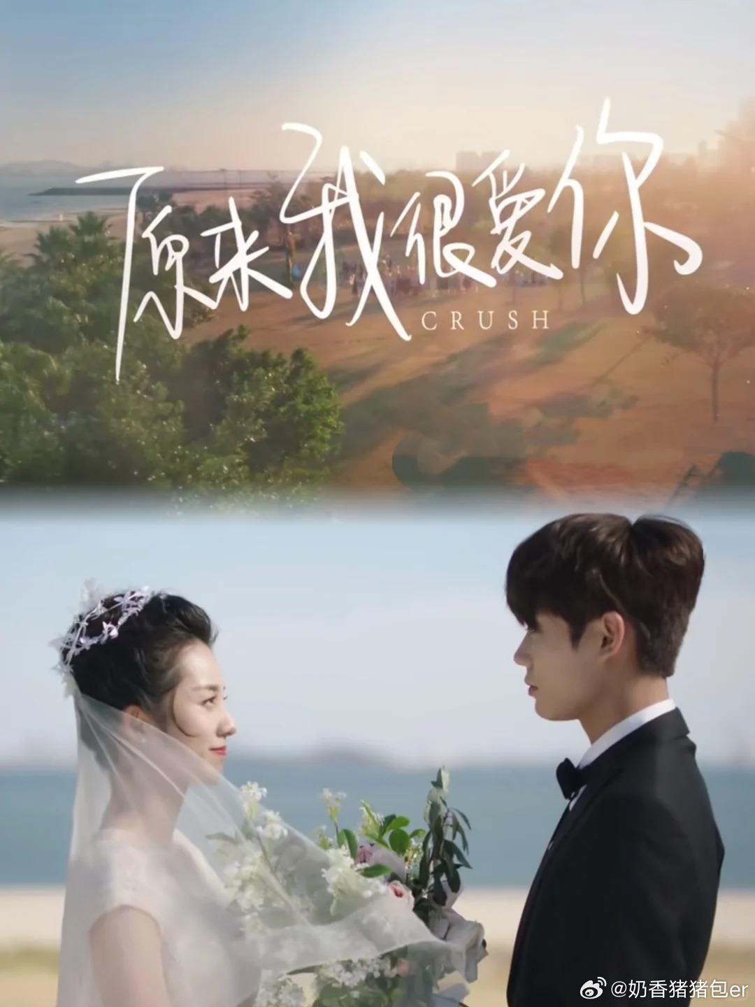 《原来我很爱你》 视障词曲人与阳光女孩的双向治愈，甜虐交织，后劲太大。 
