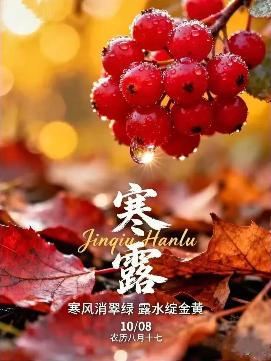 寒风起，露水凝。今日寒露，自此气温迅速下降，切记添衣护体，安度深秋！

​