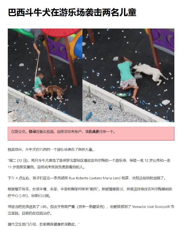 🔻11月12日，在巴西圣保罗🇧🇷 ，两只比特犬在 Roberto Caet