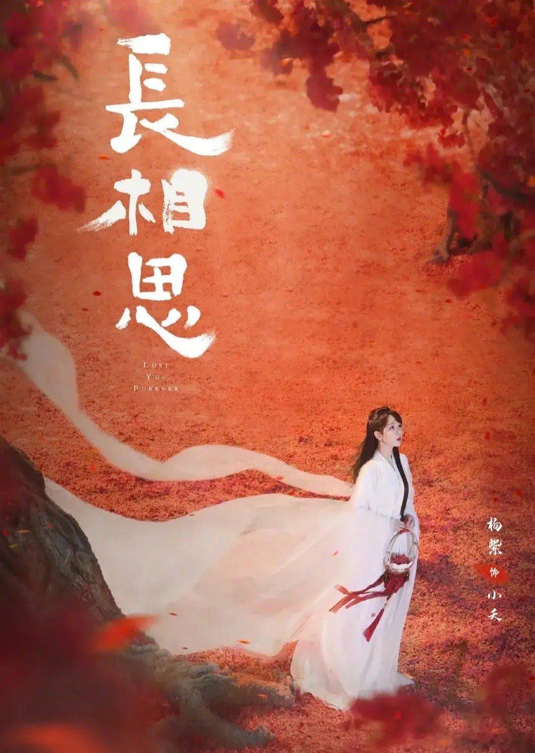 一部电视一个会员《长相思》《唐朝诡事录2》《少年白马醉春风》三个平台力推的剧，你