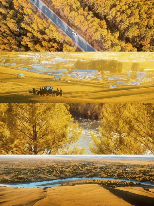 用Live图打开呼伦贝尔的秋天🍂