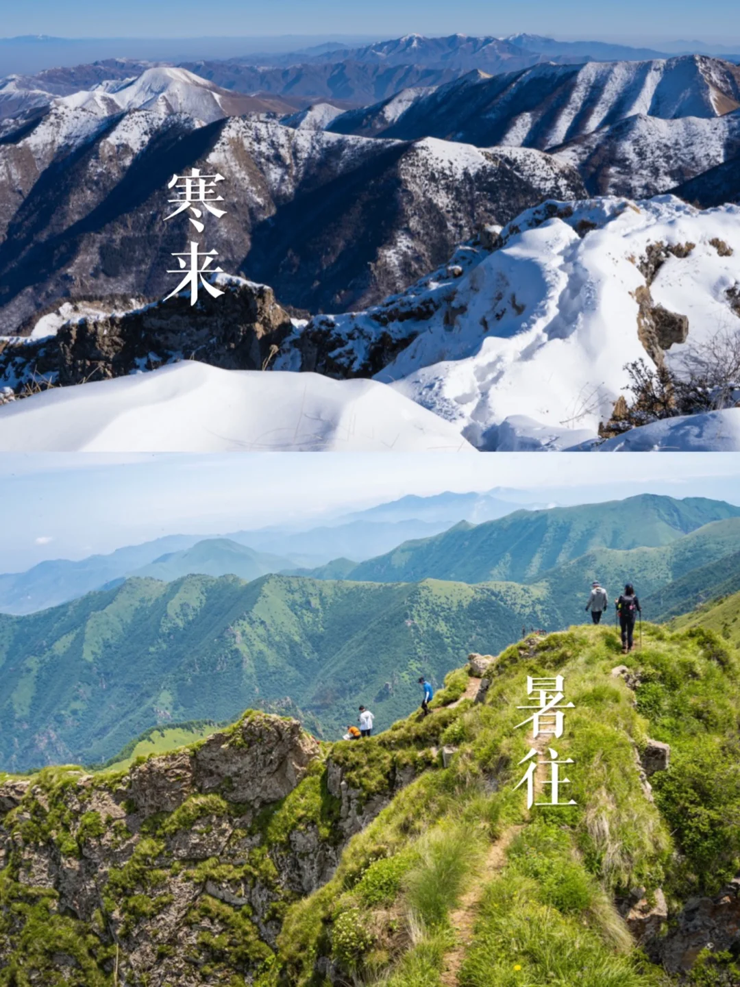 自由的人在山里毕业 | 寒来暑往