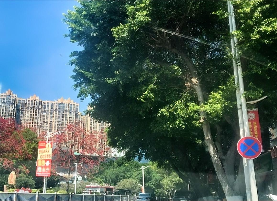 你认为人幸福不幸福取决于什么取决于你钻不钻牛角尖！！