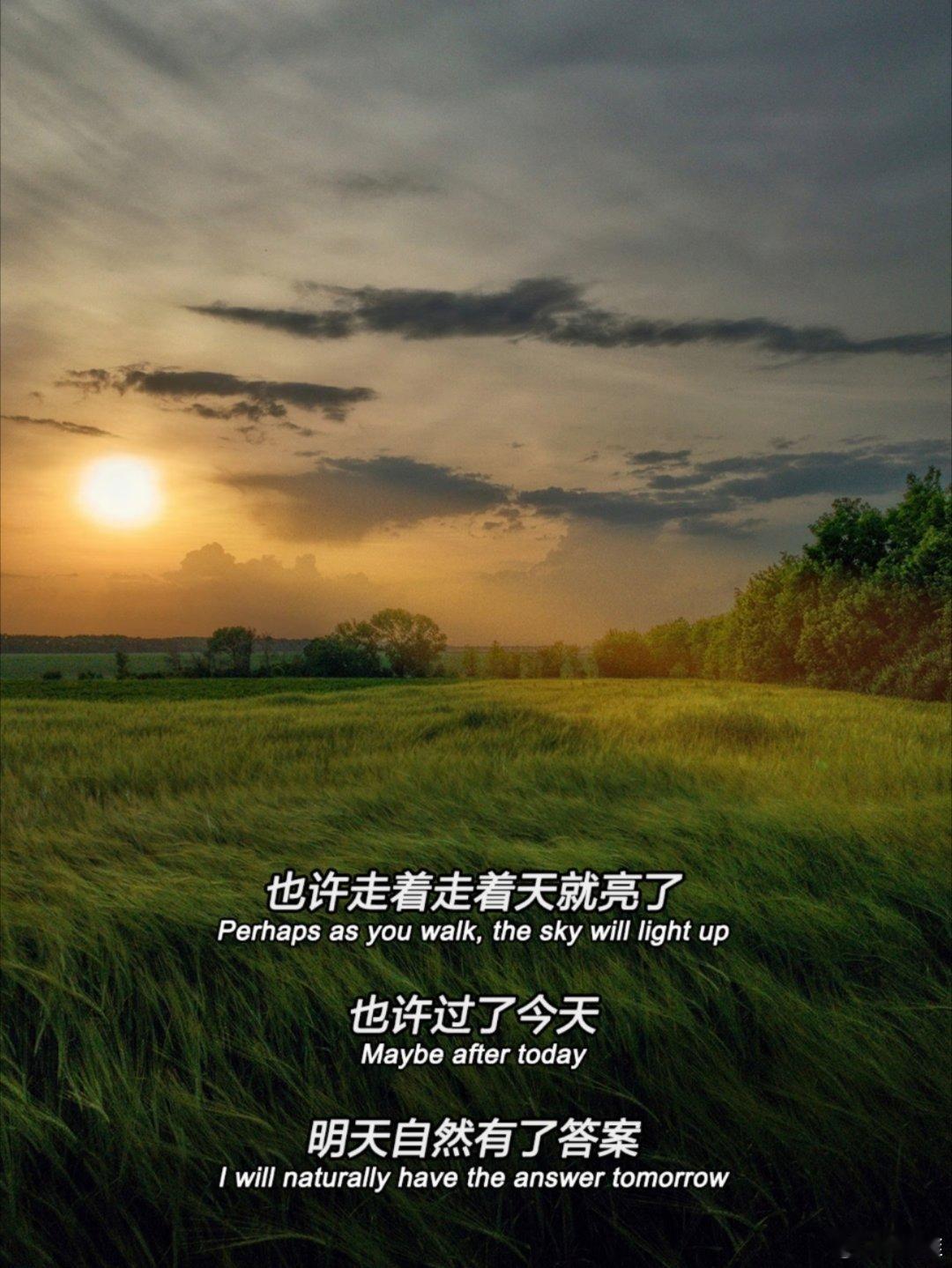 看不清路，就把今天过好！ 