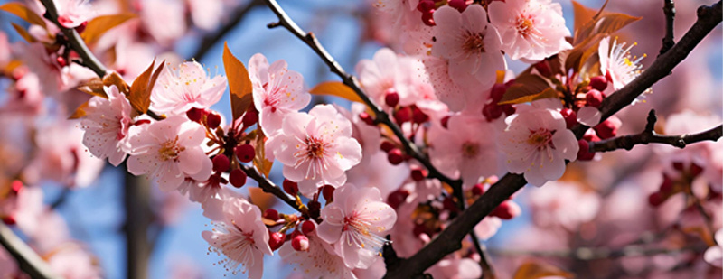 【#女子多次表白男老师被拒后与丈夫离婚#，医生：患了“桃花癫”，春季高发】近日，