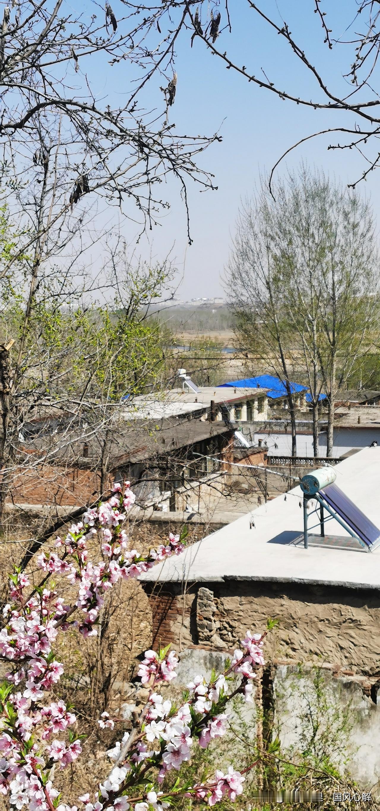 分享一下你随手拍的照片春天的乡村，桃花开了，杨柳绽放出新绿，处处生机！
