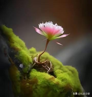 拒绝内耗最清醒的智慧
 
1. 想不通的事，就不想
脑子转一万遍，答案也不会变，