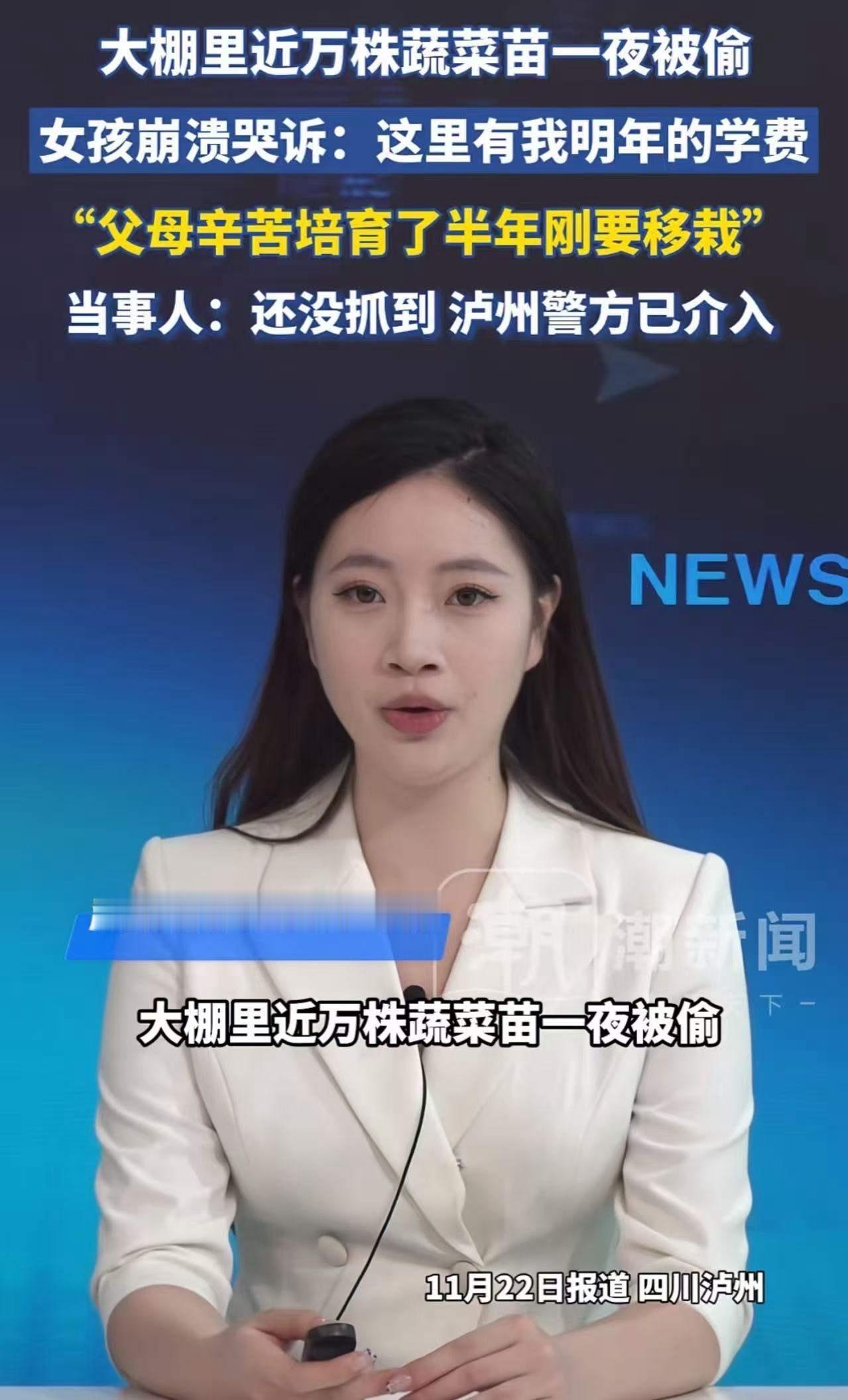 在这个充满希望的春天，本应是农民们辛勤耕作、期待丰收的季节，却发生了一件令人心碎