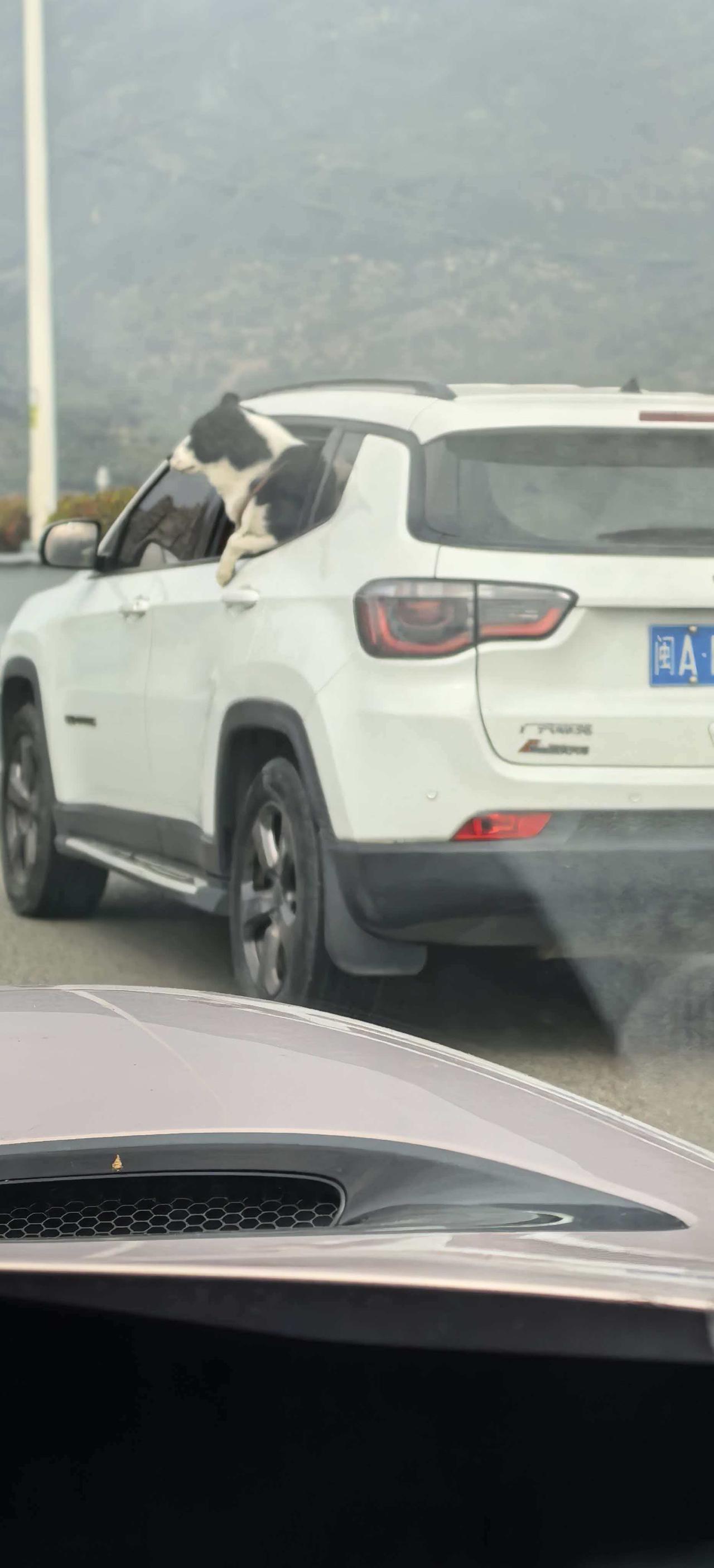 昨日算是近期以来涨幅最大的一天，成交量能放大8200亿，不少资金回归，也有不少资