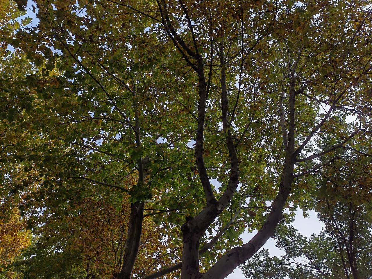 有人说吸烟喝酒者不长寿，有人证明吸烟喝酒者活了一百多。
医生说吸烟者患肺癌概率大