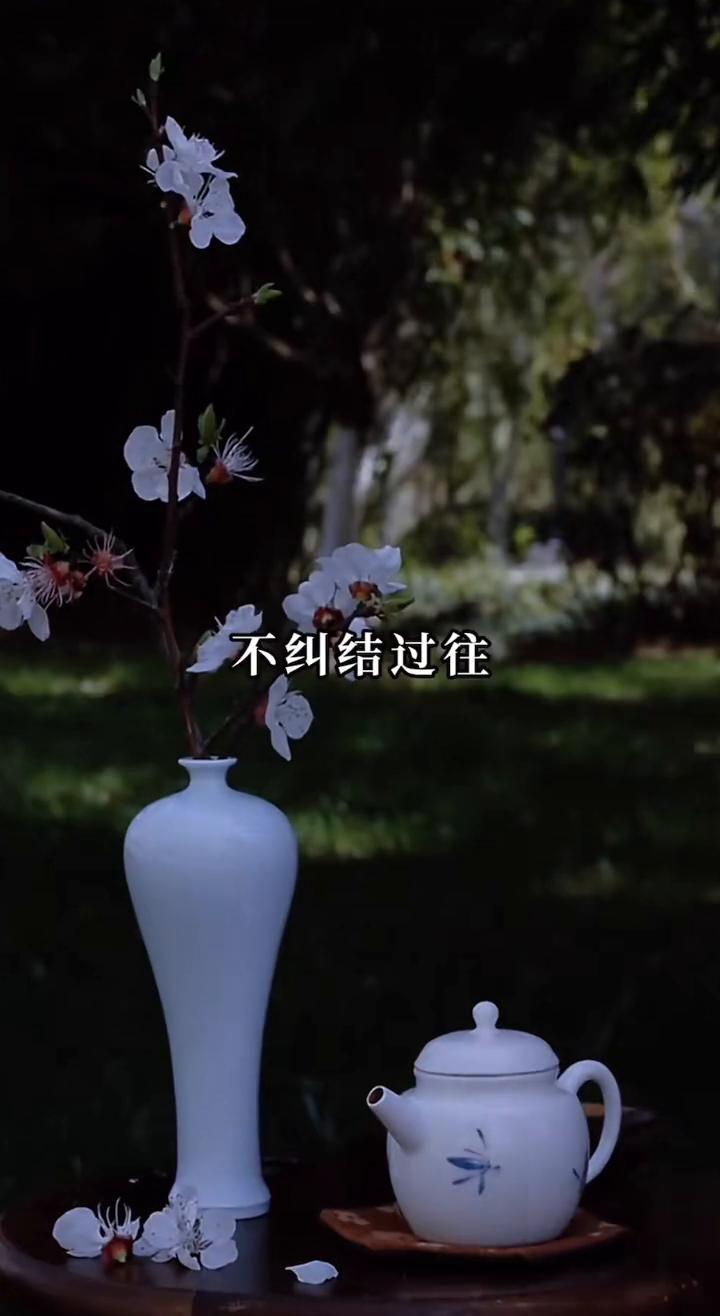 活成自己喜欢的样子。

·日子是自己的，不必活给别人看。
·有花开就观赏，遇风雨