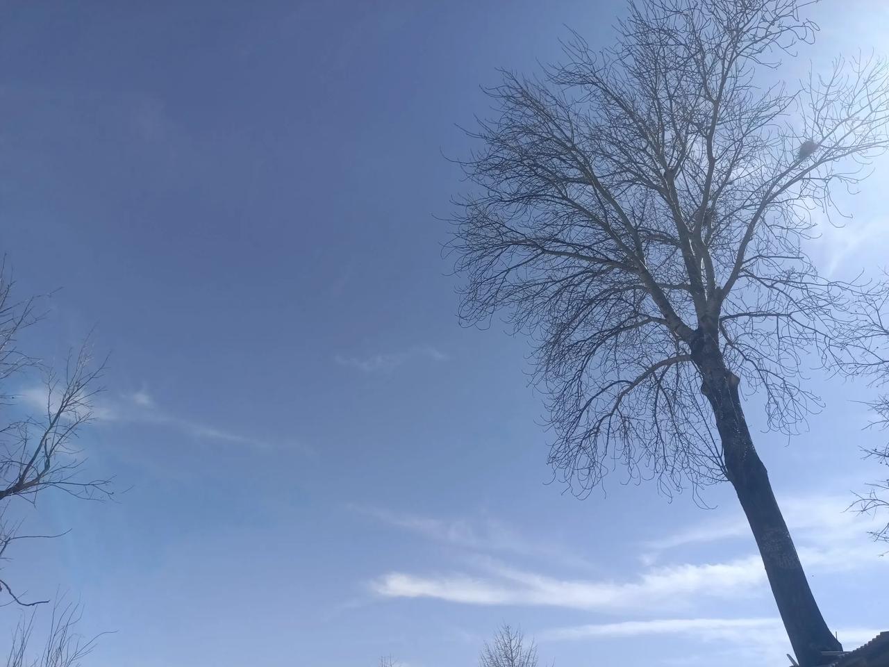春日生活打卡季清明时节大风刮。