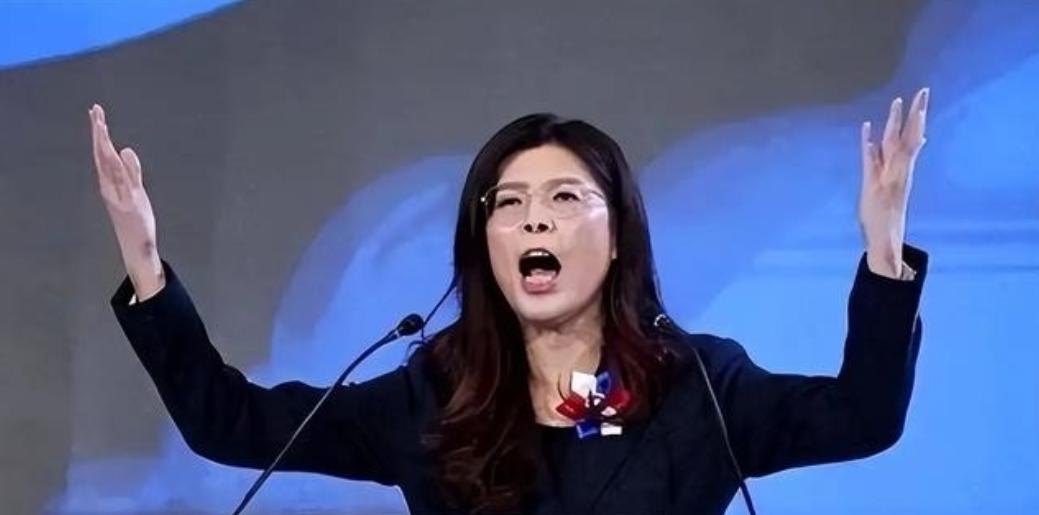 台湾蓝营终于摊牌了！郑丽文公开拒绝“一国两制”，不再模糊回避。这记重拳打向何方？