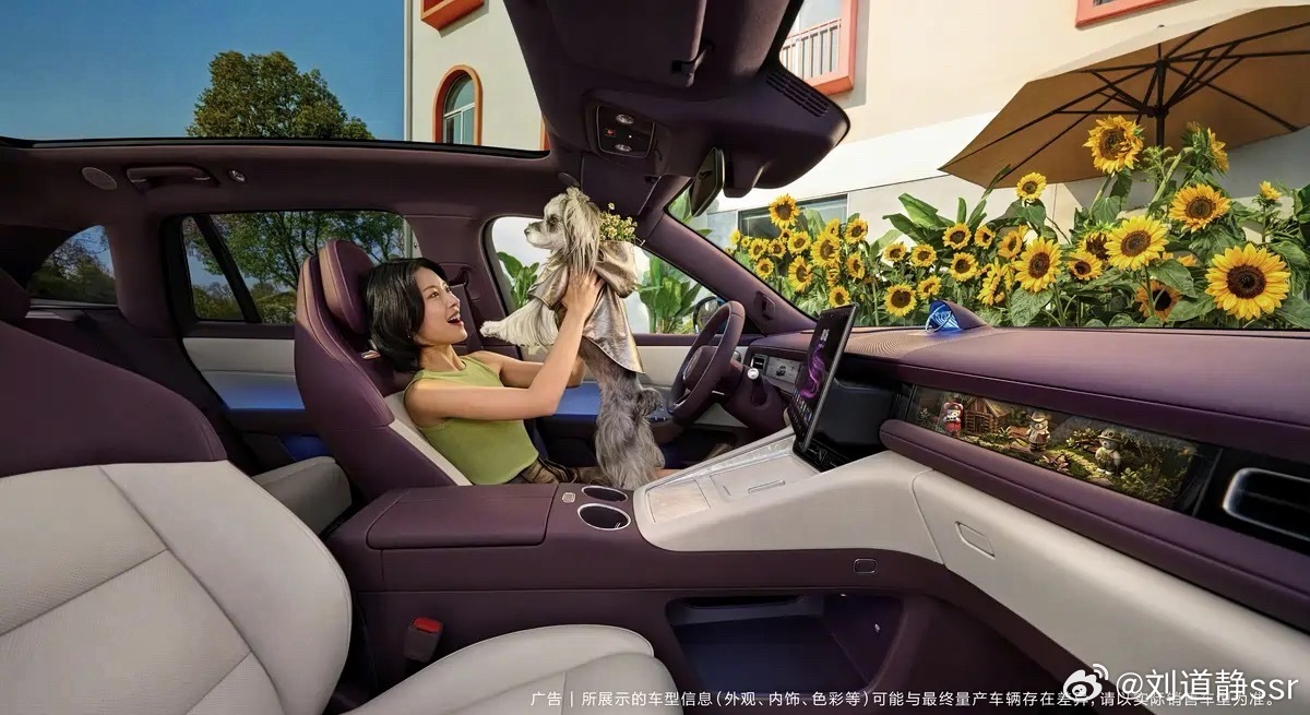 问界M6内饰大家先看看👀 北京