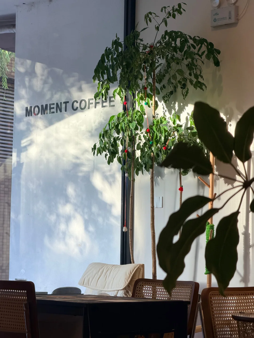 北京适合一个人呆一整天的咖啡店☕️