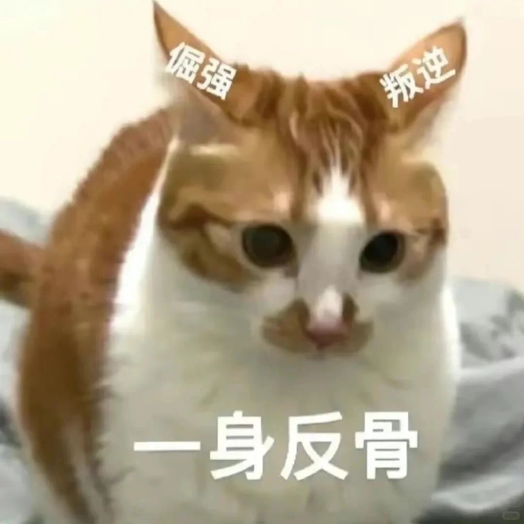 千问预测比分红牌竟然全中 胜负倒是好猜，但比分和红牌都让千问说中了，我承认有点邪