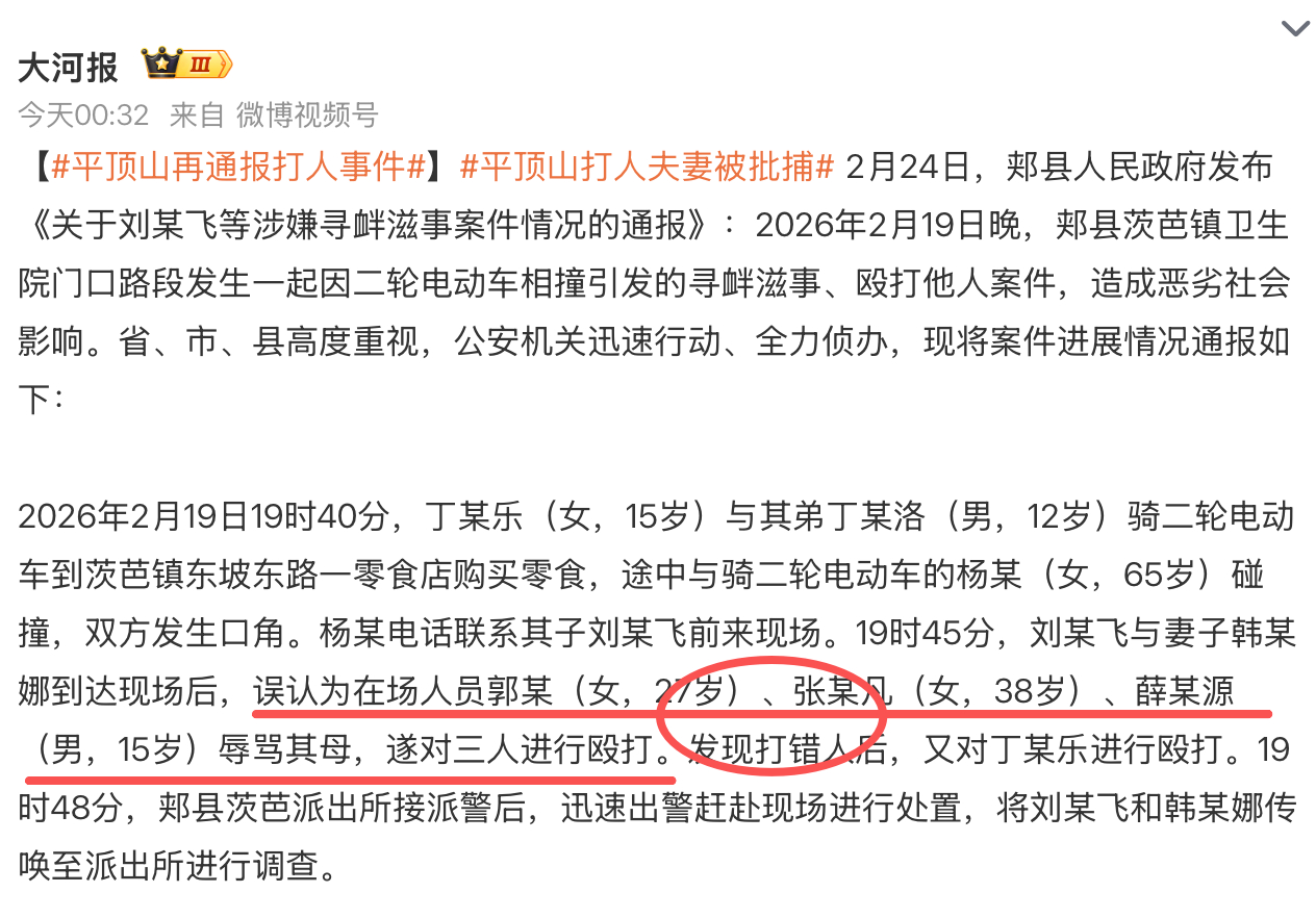 平顶山再通报打人事件平顶山打人夫妻被批捕 这太嚣张了，这家子算是承包了春节期间社