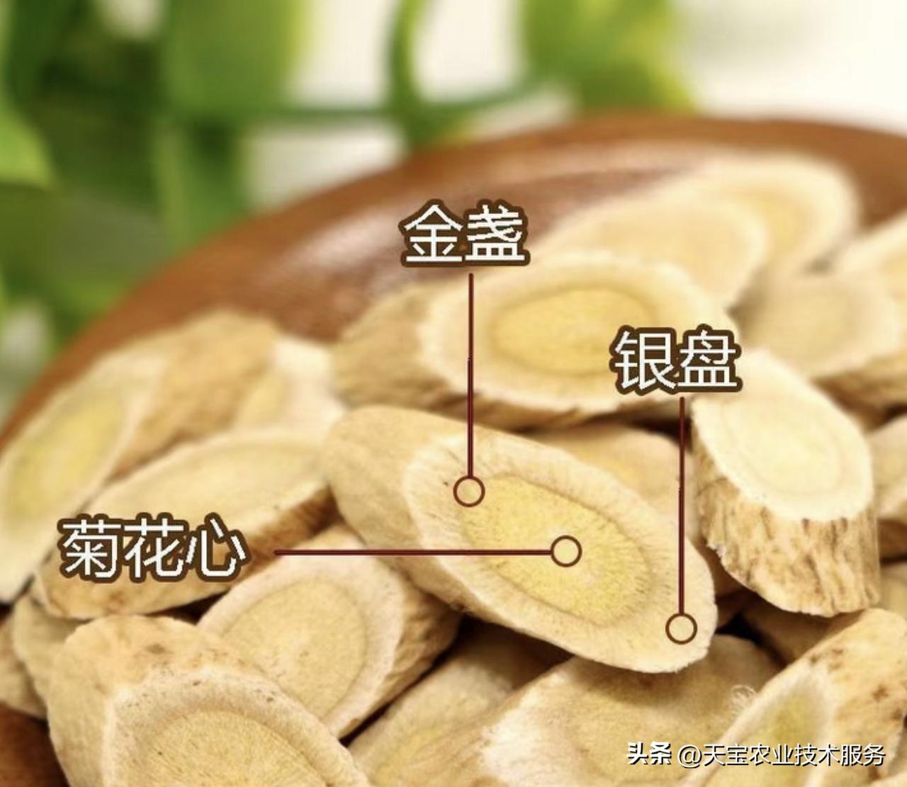 整场比赛跌宕起伏，剧情张力拉满。坐拥豪华阵容的法国队，凭借成熟的战术体系和强大的