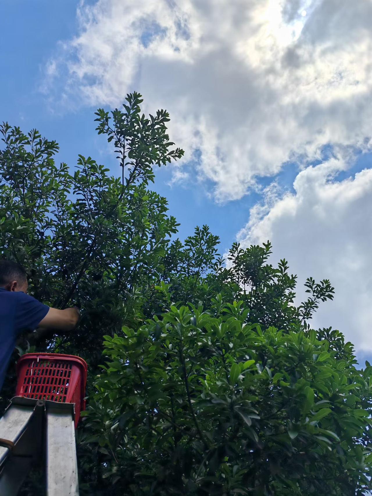 心跳快，有时候窜到180，在湘雅做了一次射融手术，术后半年又出现了一次心跳加快，