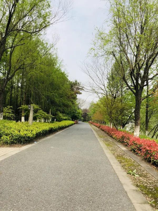 今天完成了10.51公里，相当于四分之一个马拉松，用时1小时11分，配速6.43