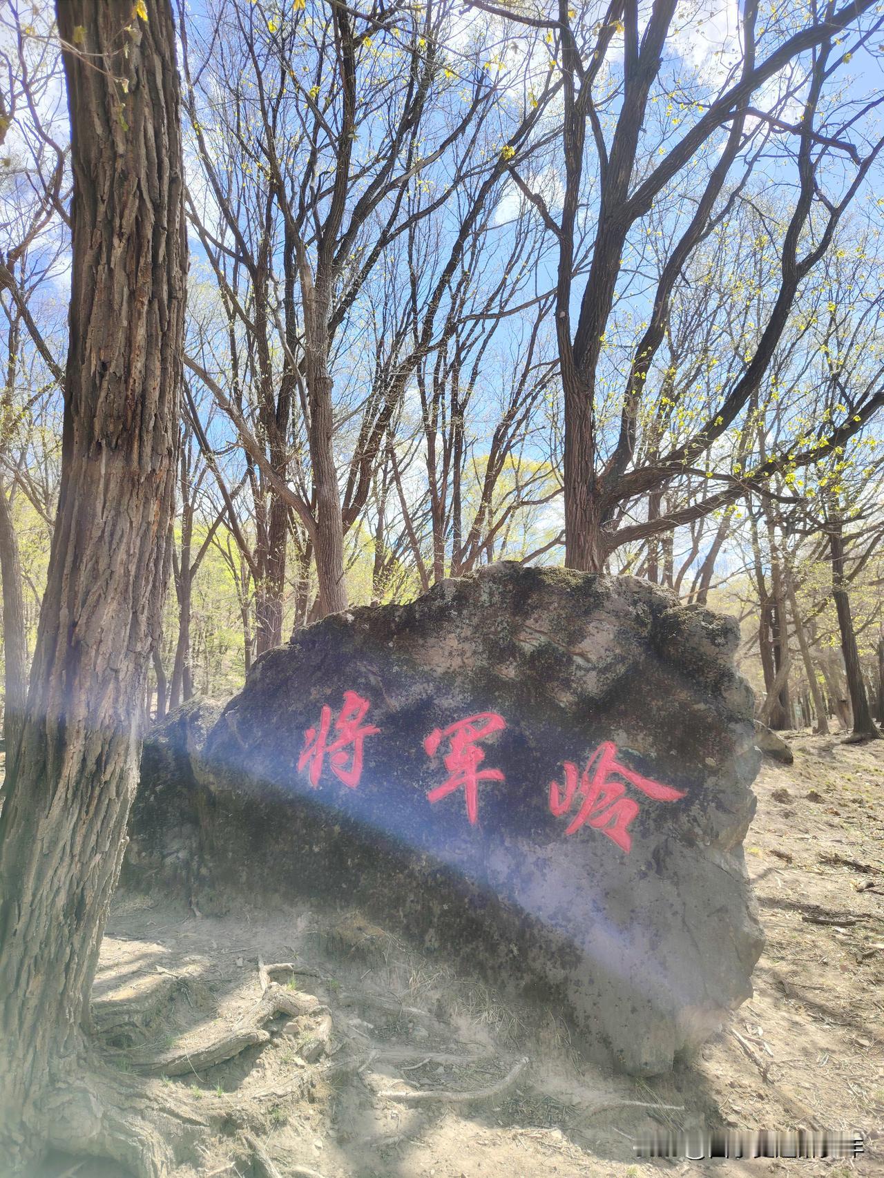 独而不孤
孤独至极喜。阳光入卿怀。
放飞灵魂舞，浊酒品诗言。
浓缩四季歌，深思情
