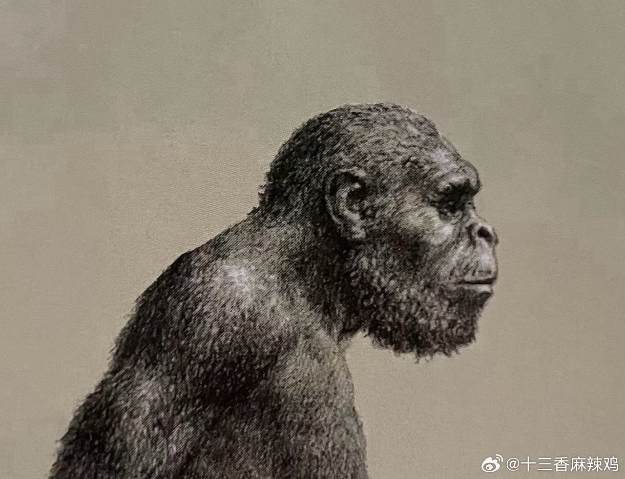 遭公公性侵儿媳被鉴定无性防卫能力陕西西乡这起案子二审维持原判，公公以强奸罪判四年