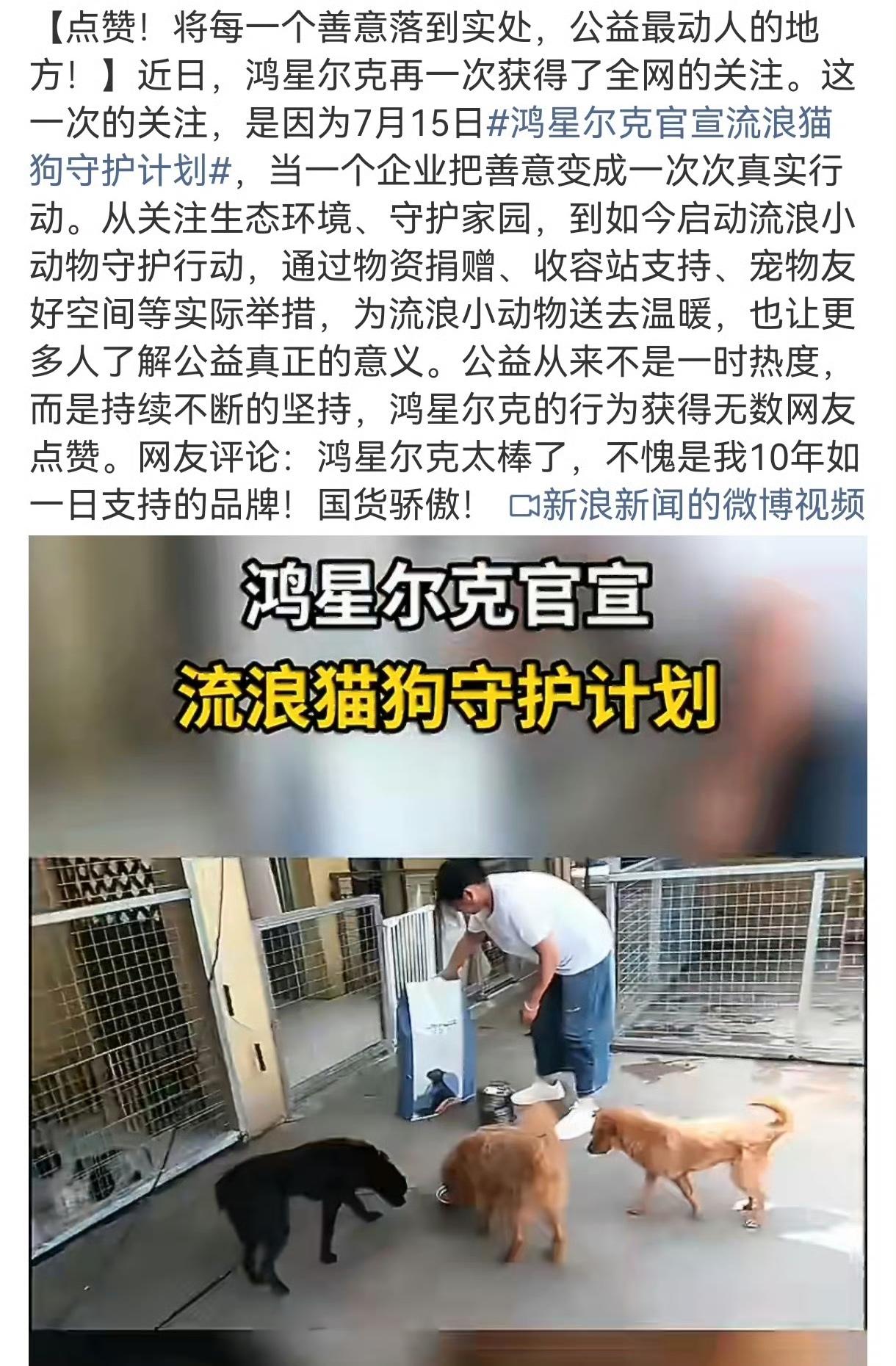 为什么会有越来越多的流浪猫呢? 鸿星尔克流浪猫狗公益出圈，但宠物进店争议该如何化