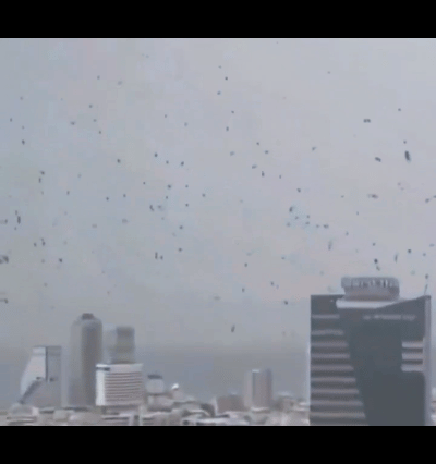 在以色列特拉维夫上空和街头出现了大量乌鸦，遮天蔽日。很多外国人认为是“末日的预兆