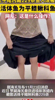 女子“鱼尾裙”藏229条鱼！海关小哥：这操作我服了
 11月23日，深圳罗湖海关