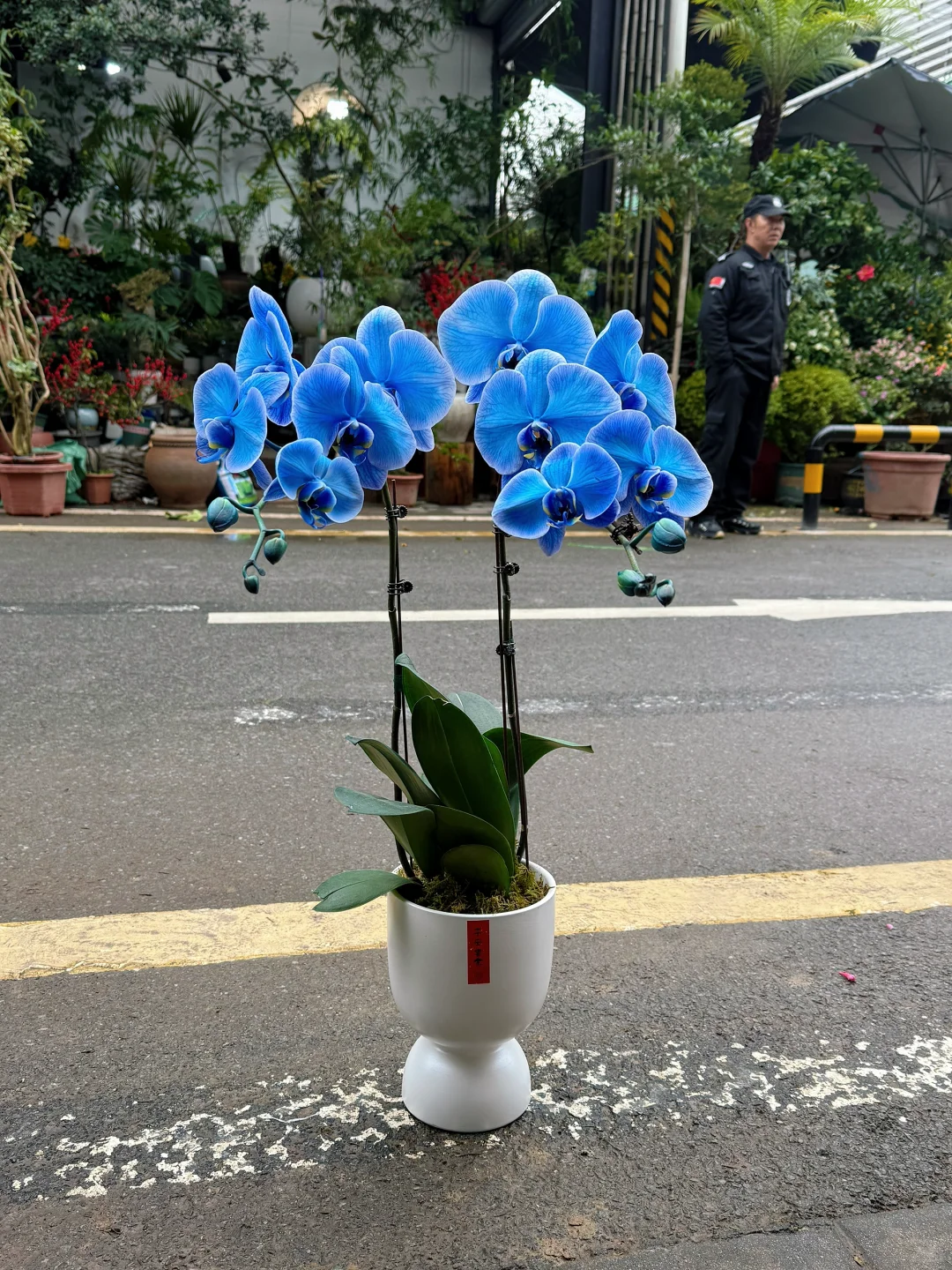 100个重庆人推荐的买花神店！！