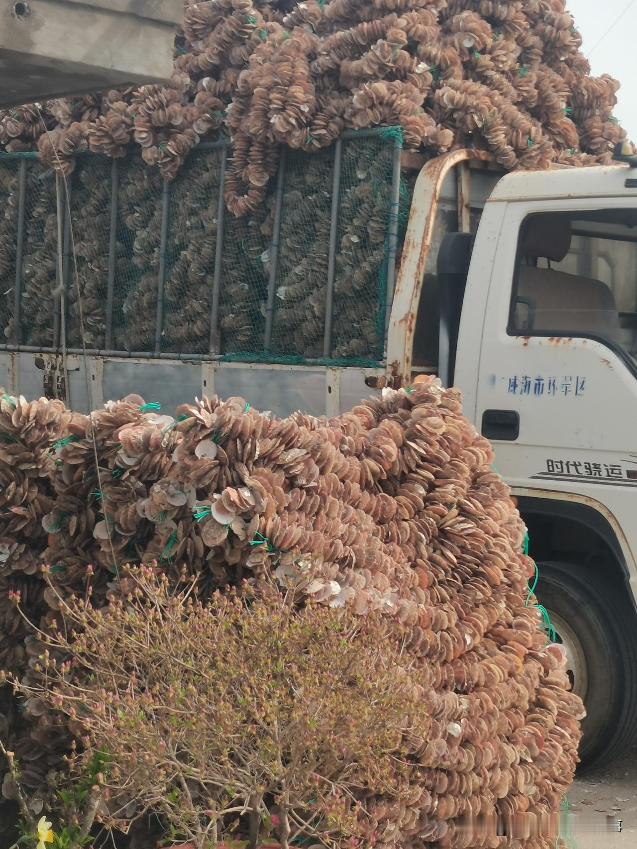 邻居嫂子半个月的手工活今天走货了。
我问嫂子总共多少钱，嫂子卖关子：一共5000