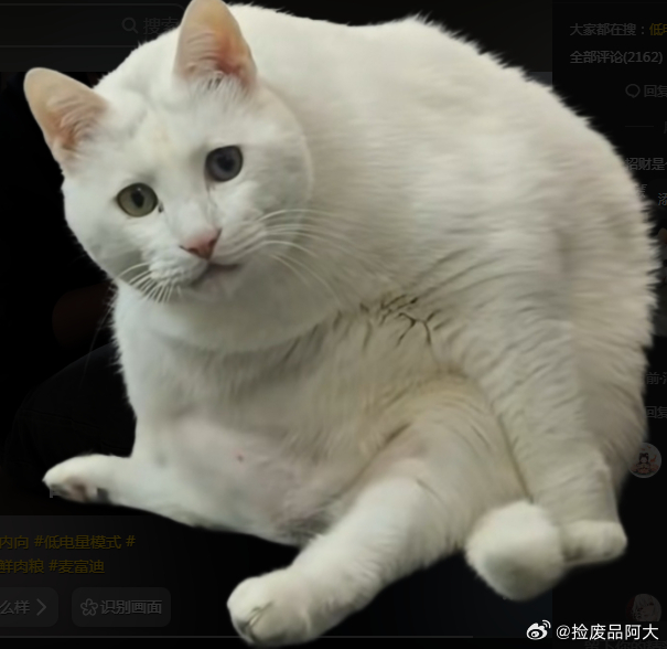 我是跟朋友约定好出去玩的那一瞬间就开始累了，下一刻就想返回，第二天想措辞怎么推掉