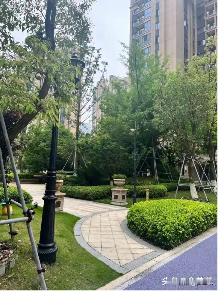 传统的我，希望这不是真的，只是有些人的直播摆拍。

刷到这样的视频，女孩和女孩结