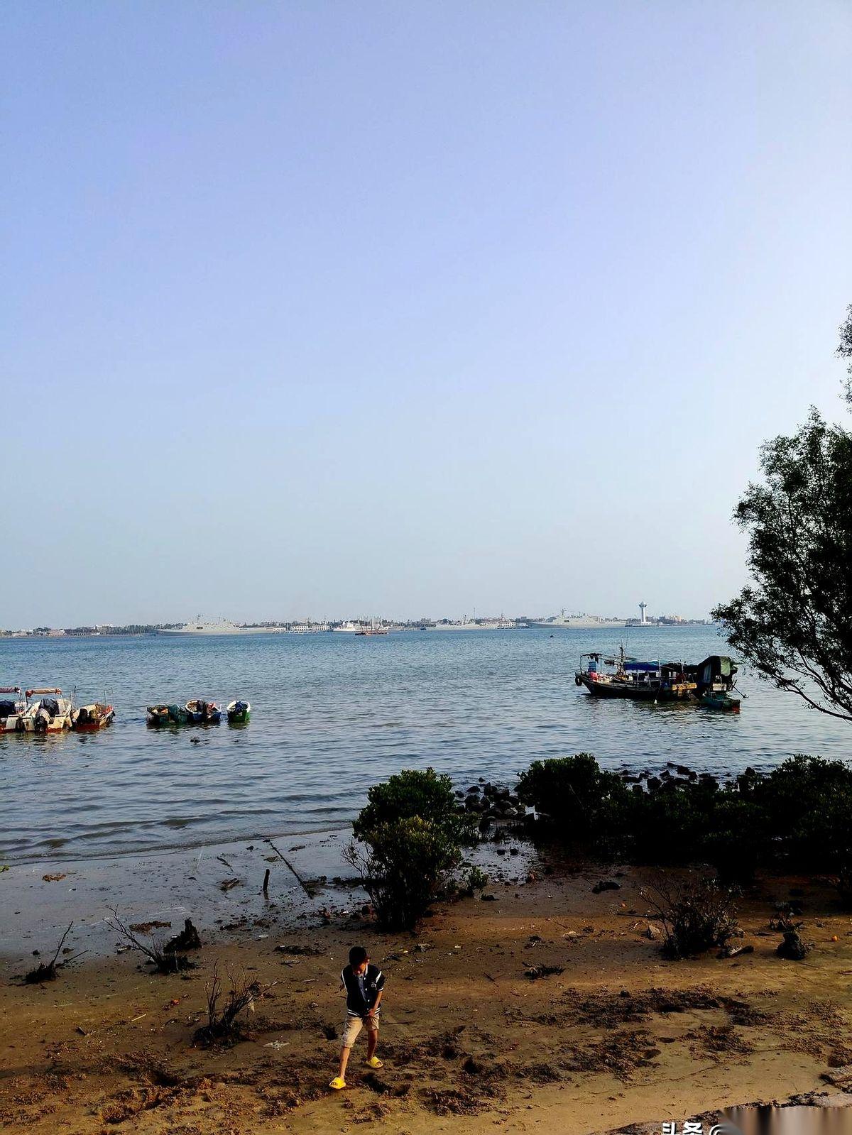 元旦，湛江港。
车刚靠边，我手扒着车窗往外看，以为眼花了。以前来，能看到两三艘就