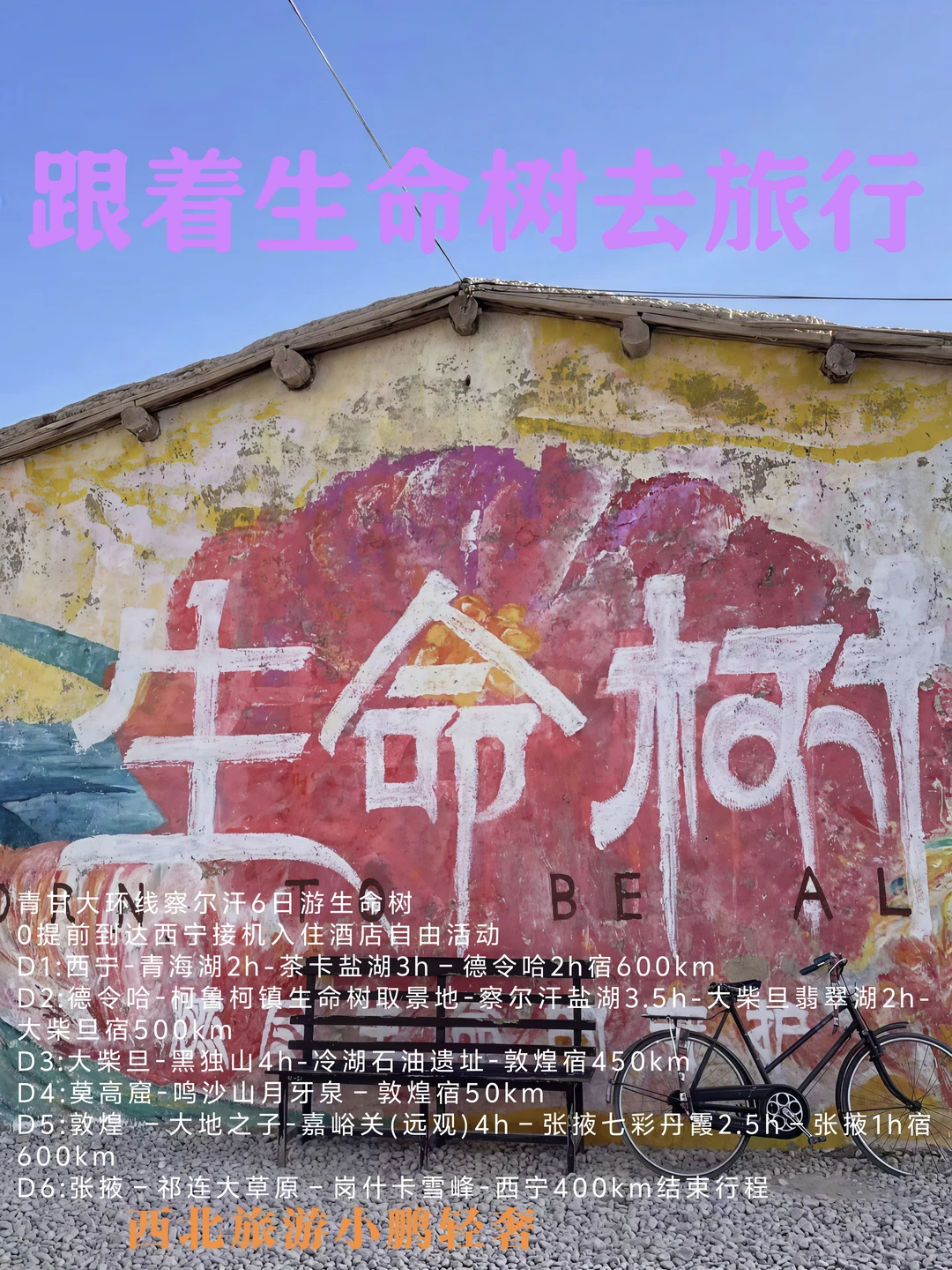 跟着生命树去旅行｜青甘大环线6日游
