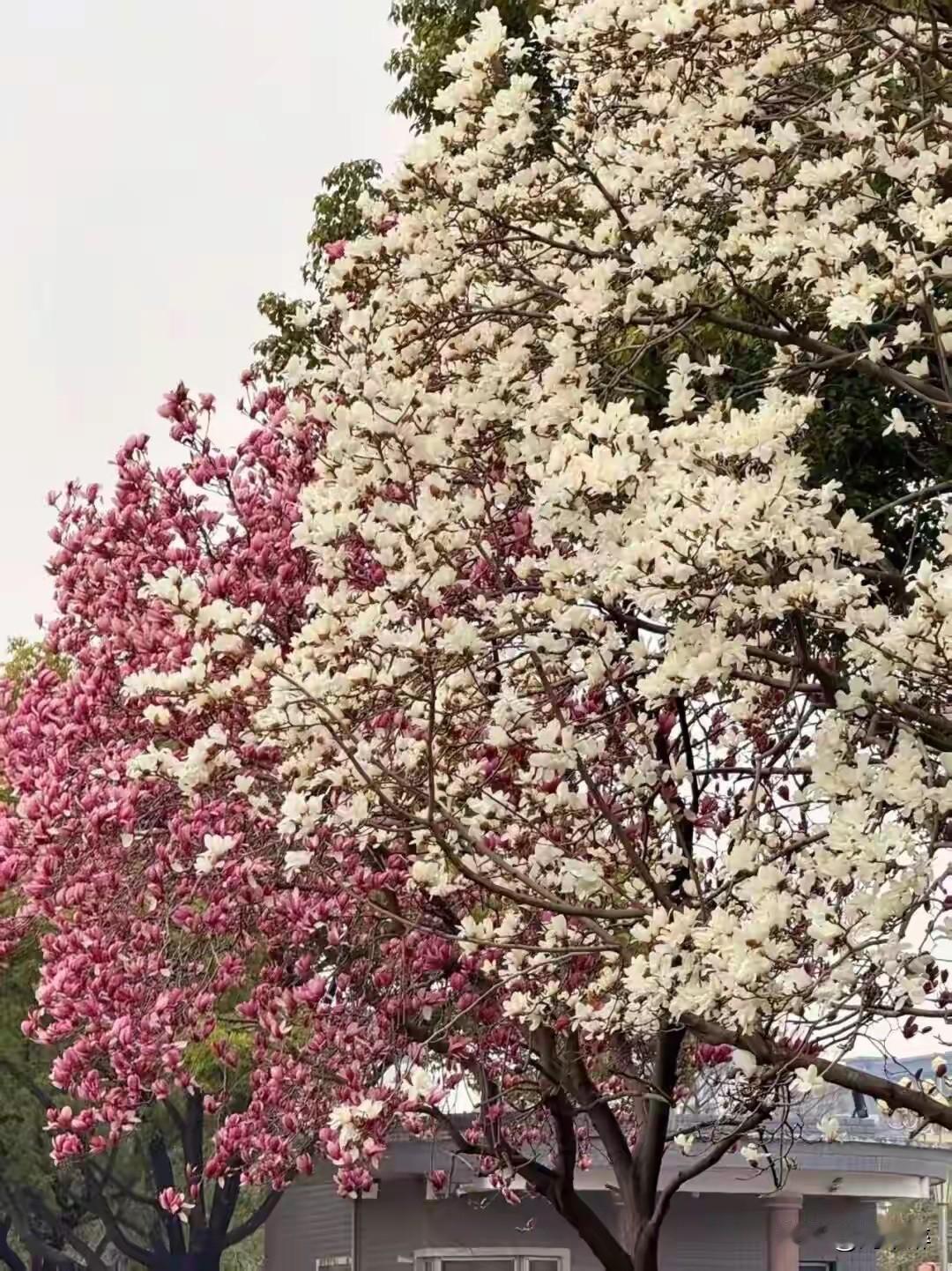 人生没有如果，
只有后果和结果！