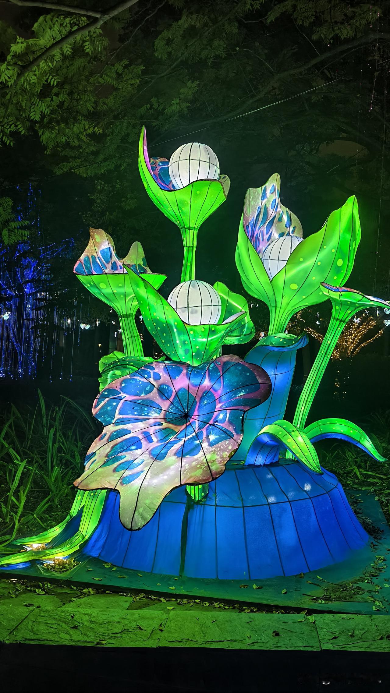 太养眼了这些花灯，绚丽灯光点缀了浪漫的公园冬日，带着对未来的期许，开启新年的梦。