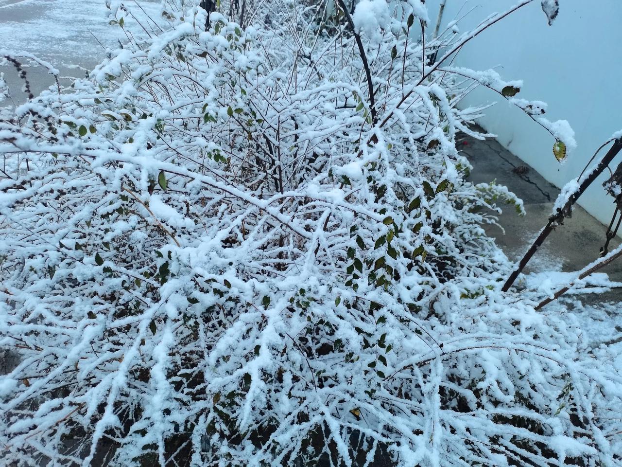 冬日生活打卡季