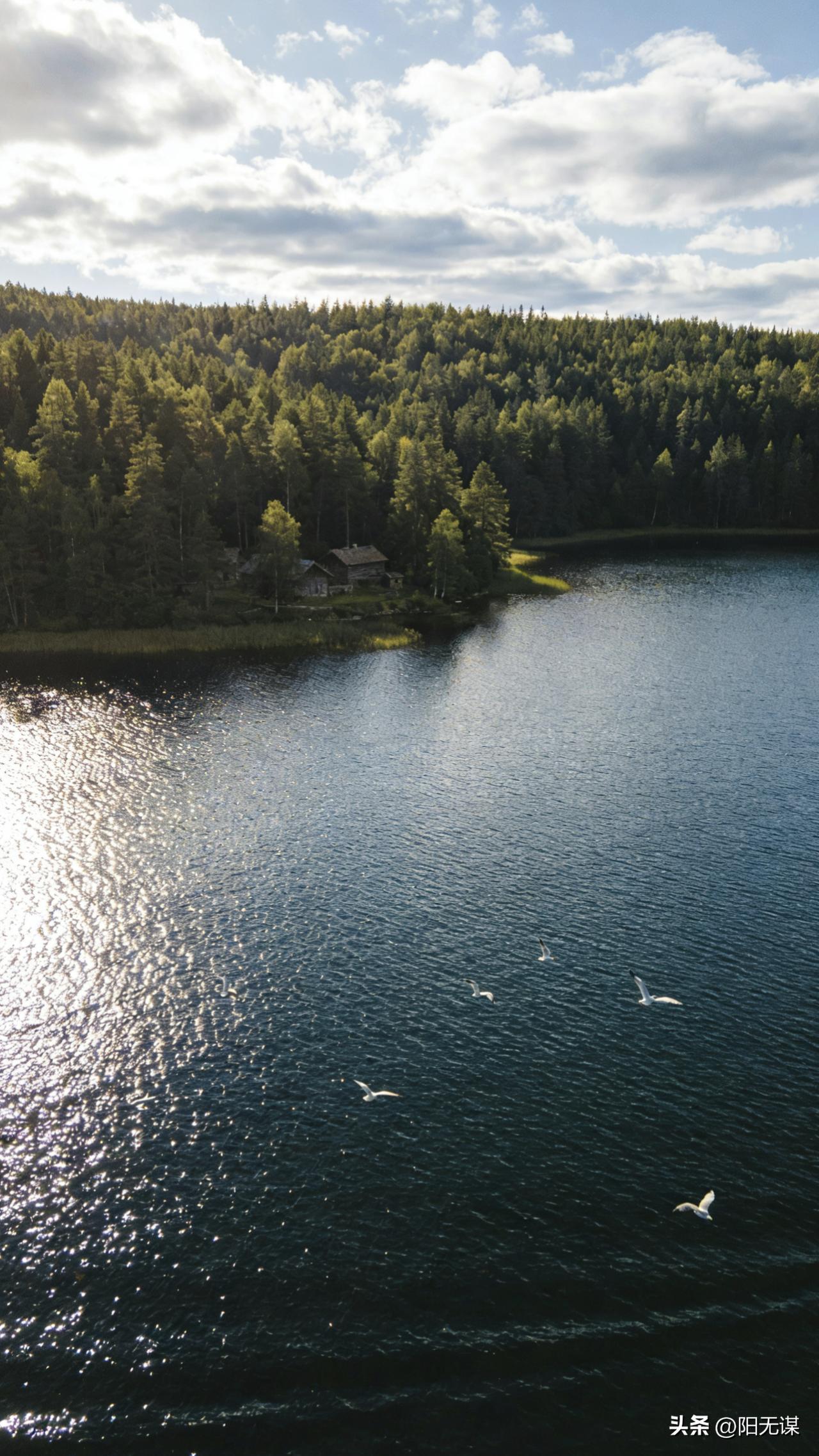 一个老六说：
“不想借的钱，让老婆拒绝；不想去的酒局，让老婆阻拦；不便脱身的应酬