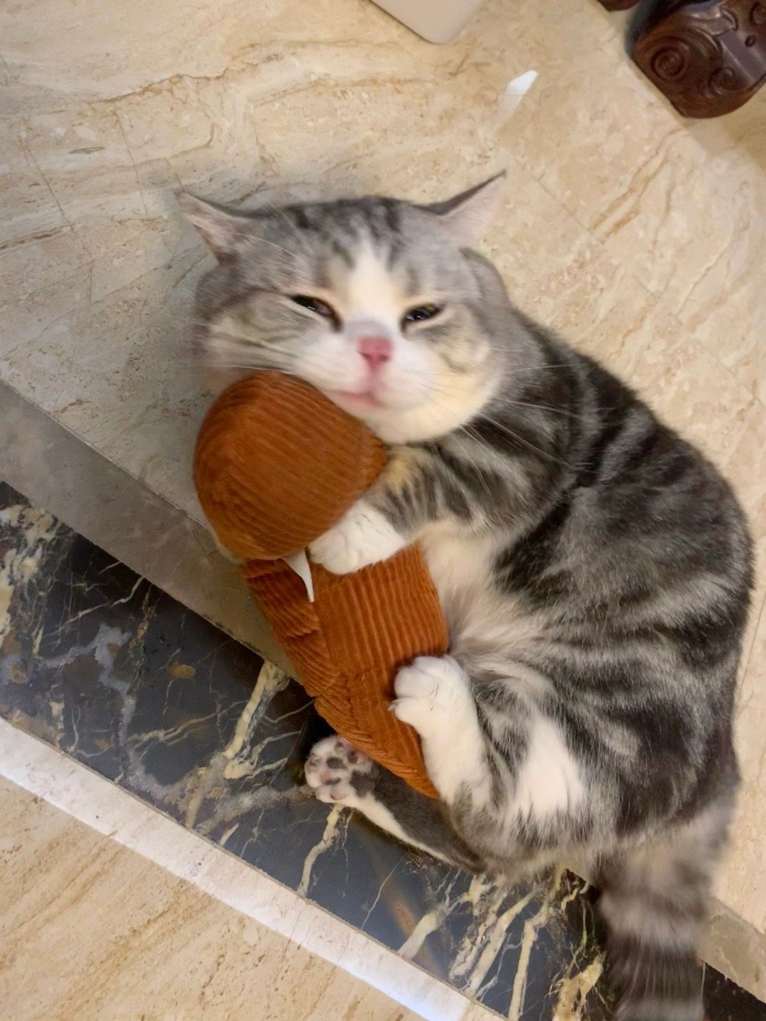 嘿嘿