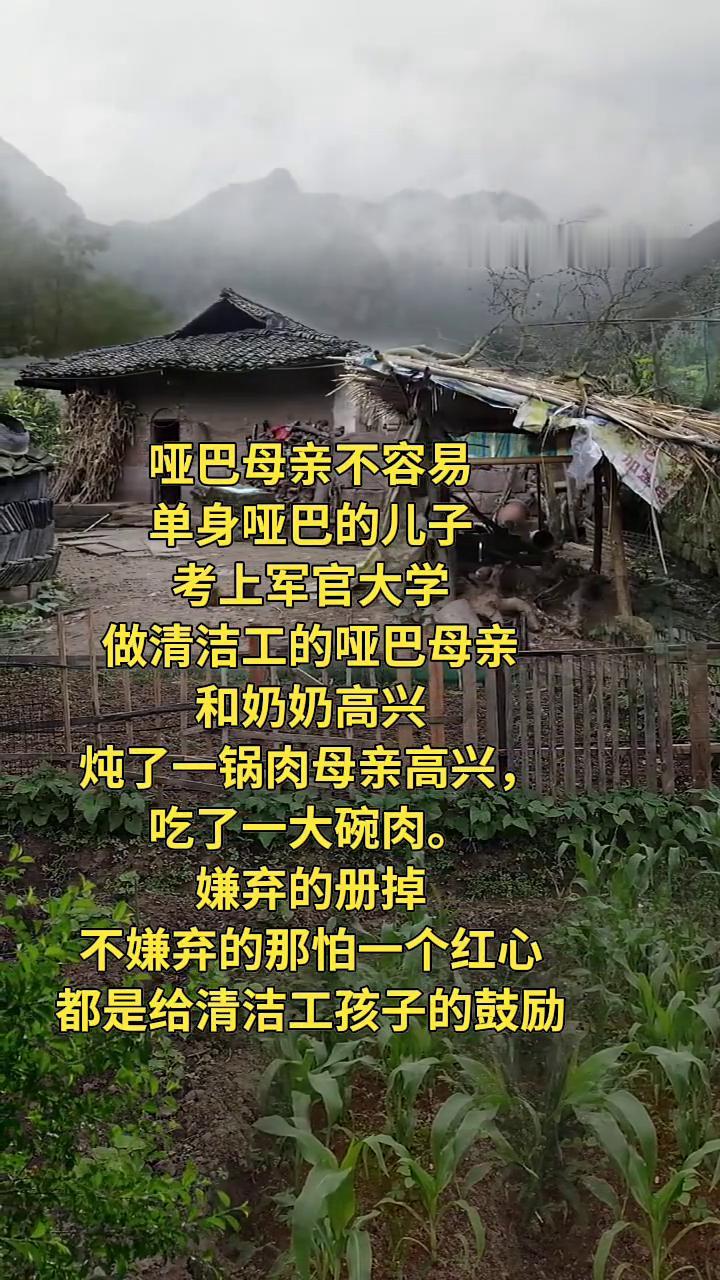 哑巴母亲不容易。
单身哑巴的儿子考上军官大学，做清洁工的哑巴母亲和奶奶高兴，炖了