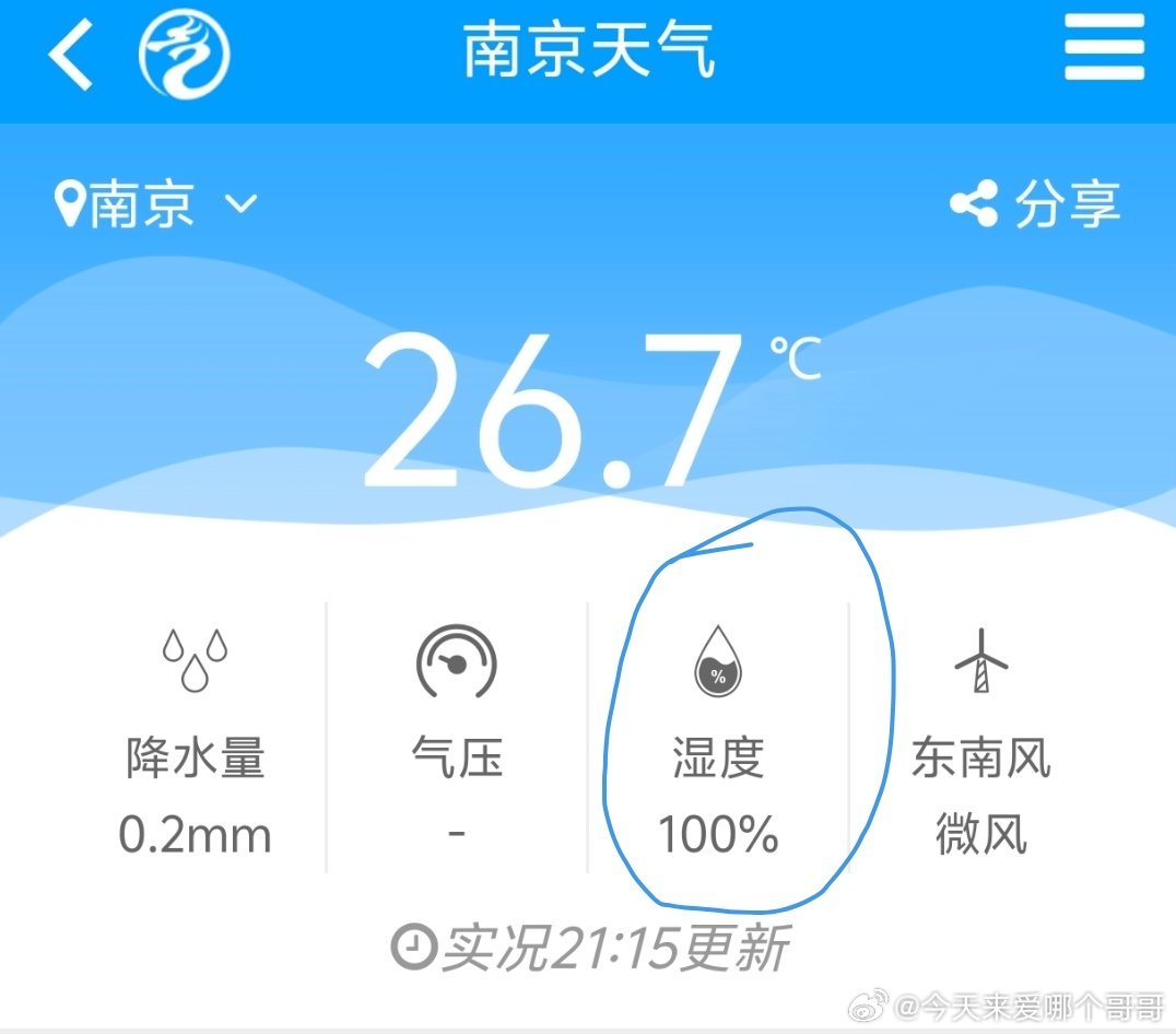 我看伦敦未必有南京忧郁 