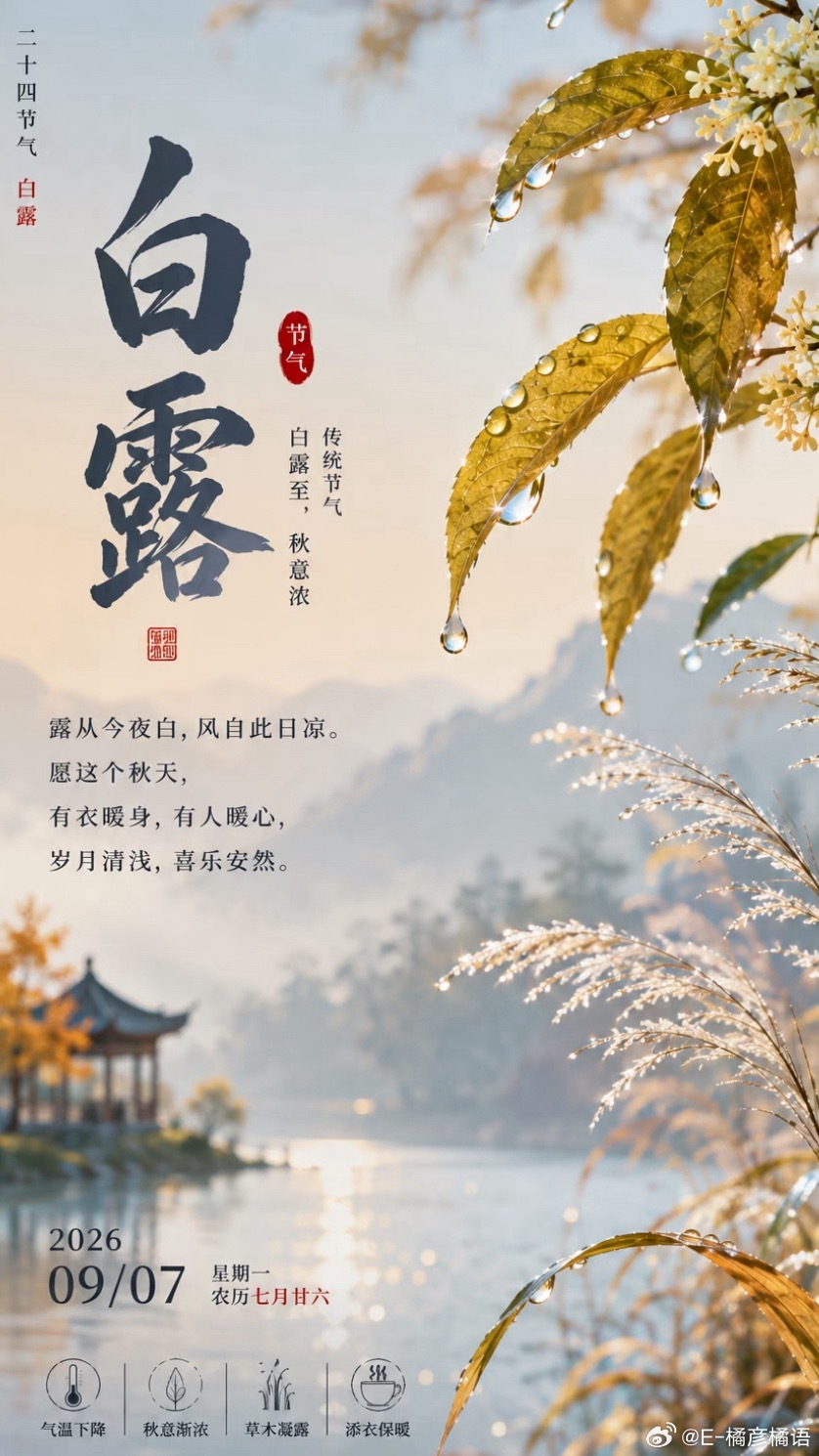 今日白露晨露沾衣，秋光漫野，白露至，暑气尽，愿山野有风，心中有暖，岁岁安澜白露收