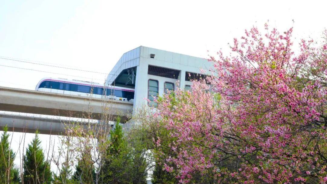 清明假期（4月4日至4月6日）已落下帷幕。济南交通运输系统全力以赴，以“平安、便