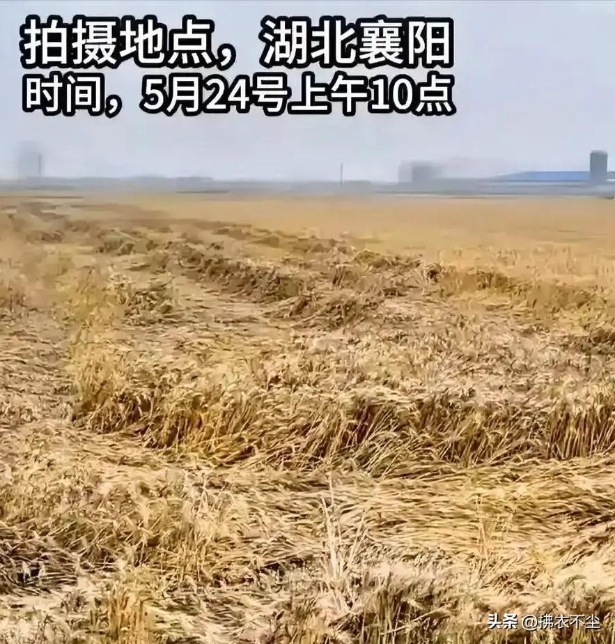 这社会，有时仅有法律条规是不行的，这种强制性的约束手段，解决不了心灵的跑偏！

