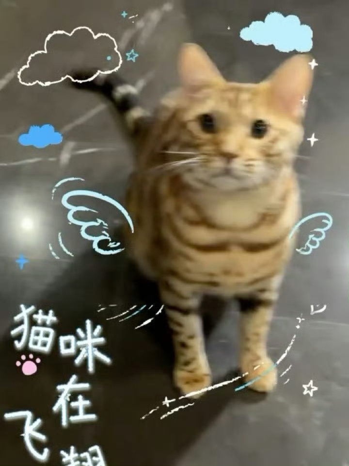 新鲜的妈咪！还有大鱼小十一六一快乐！！！（🫘你真的好糊啊） 
