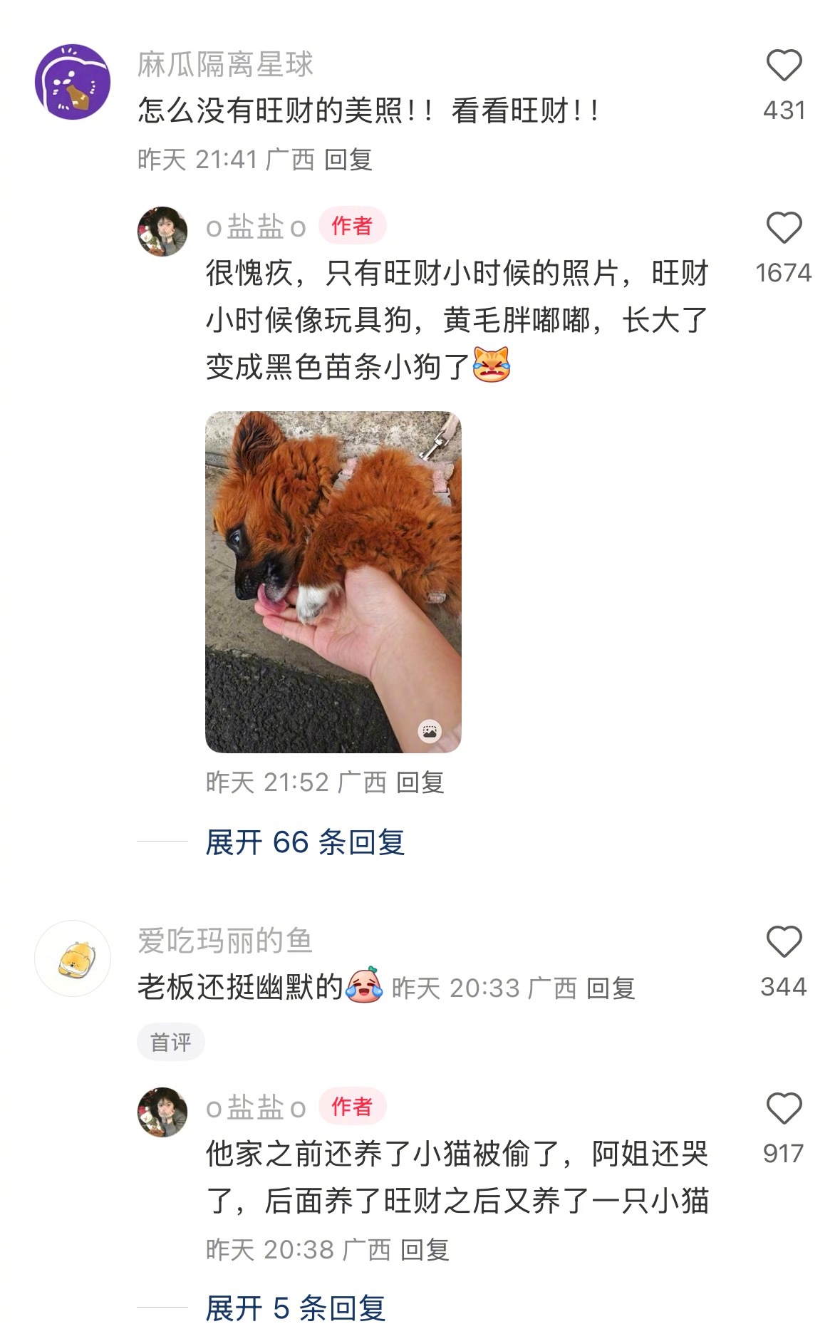全柳州最爱小狗之人出现了 