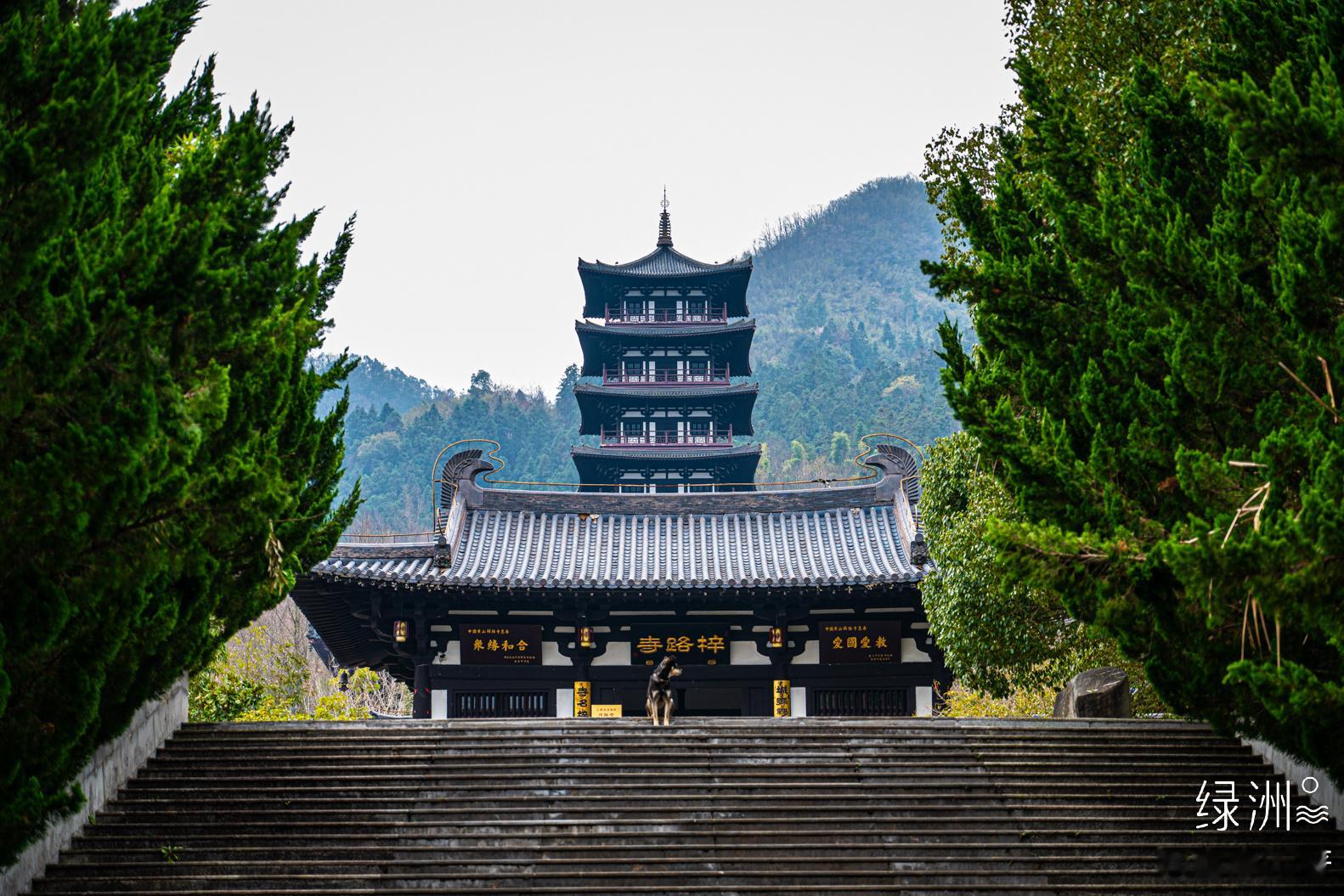 梓路寺 安徽｜宏村#春游季#  