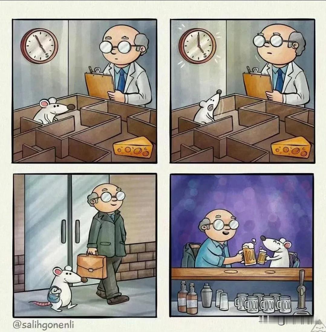献给阿尔吉侬的花束